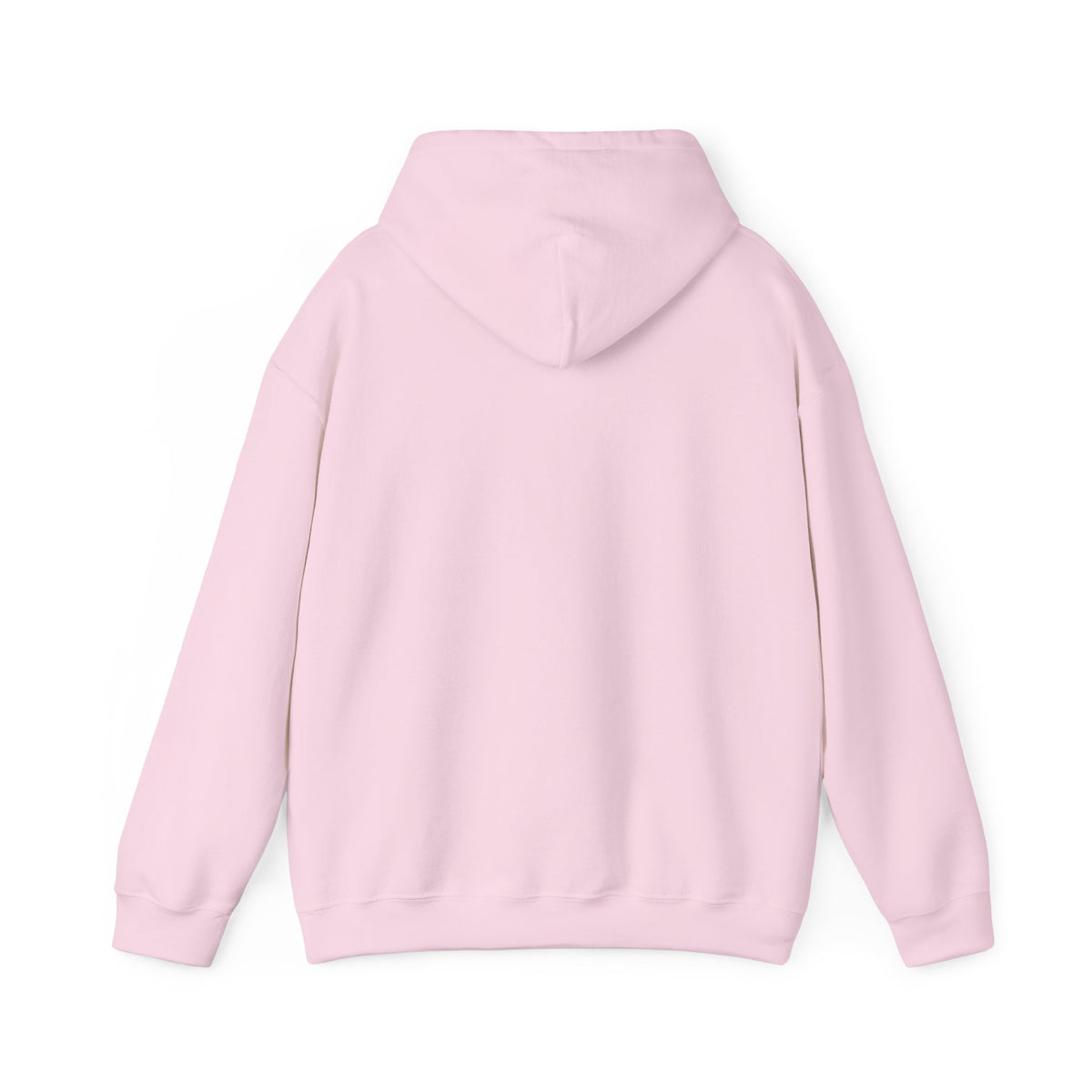 I Can Shit Farther Than You Can Pee -- Pullover Hoodie
